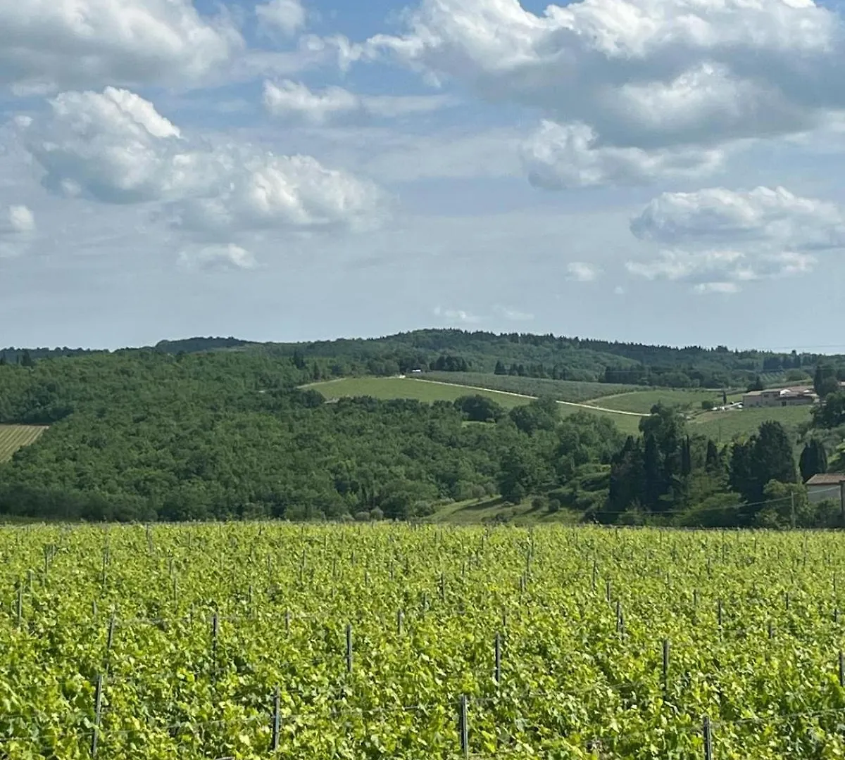 Casa Galletti San Donato in Poggio